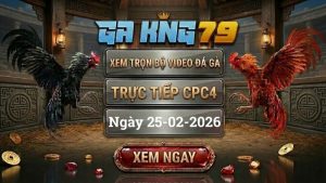 GAKING79 Xem Full Clip Da Ga Truc Tiep CPC4 Ngay 25022026 1