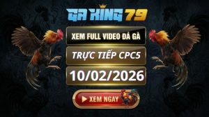 Xem Full Clip Da Ga Truc Tiep CPC5 Ngay 10022026 2