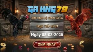 GAKING79 Xem Full Clip Da Ga Truc Tiep CPC3 Ngay 08032026 1