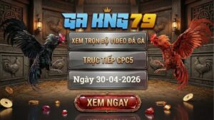 Xem Full Clip Đá Gà Trực Tiếp CPC5 Ngày 30/04/2026