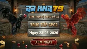 Xem Full Clip Đá Gà Trực Tiếp CPC2 Ngày 23/05/2026