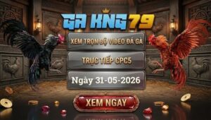 Xem Full Video Đá Gà CPC5 31/05/2026