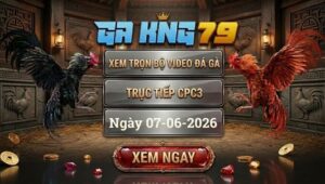 Xem Full Video Đá Gà CPC3 Ngày 07/06/2026