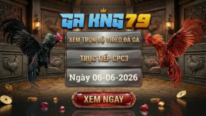 Xem Full Video Đá Gà CPC3 Ngày 6/6/2026 tại GAKING79