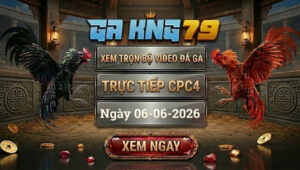Xem Full Video Đá Gà CPC4 Ngày 6/6/2026 tại GAKING79
