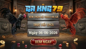 Xem Full Video Đá Gà CPC5 Ngày 6/6/2026 tại GAKING79